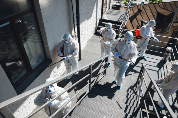  Melcher Dallas, IA Mold Removal Pros