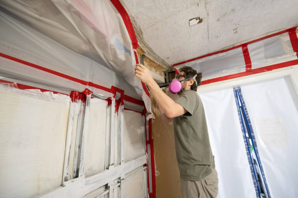 Best HVAC Mold Inspection and Cleaning  in Melcher Dallas, IA
