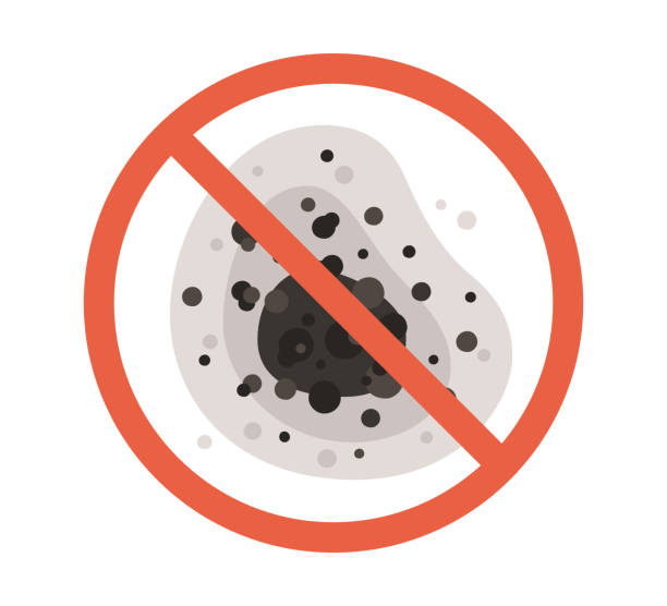 Best Residential Mold Inspection & Testing  in Melcher Dallas, IA