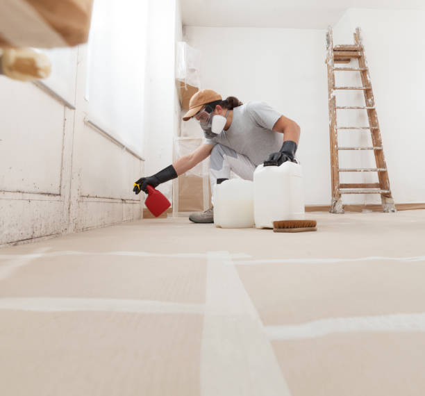 Professional Mold Removal in Melcher Dallas, IA